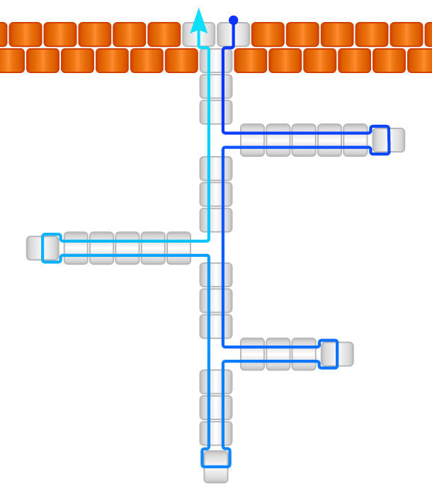 Illustration of branch fringe beading